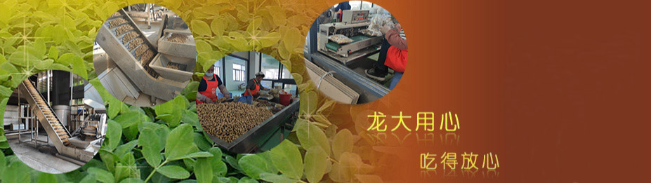 陶瓷波紋填料